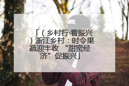 （乡村行·看振兴）浙江乡村：时令果蔬迎丰收 “甜蜜经济”促振兴