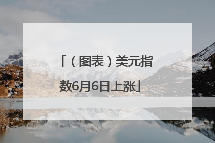 （图表）美元指数6月6日上涨