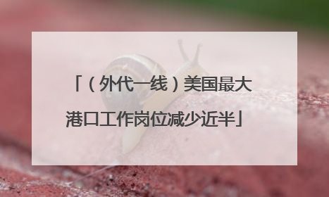 （外代一线）美国最大港口工作岗位减少近半
