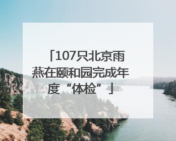 107只北京雨燕在颐和园完成年度“体检”