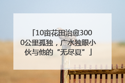 10亩花田治愈3000公里孤独，广水独眼小伙与他的“无尽夏”