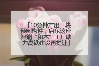 10分钟产出一块预制构件，启东这座智能“积木”工厂助力高铁建设再提速