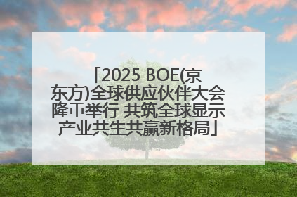 2025 BOE(京东方)全球供应伙伴大会隆重举行 共筑全球显示产业共生共赢新格局