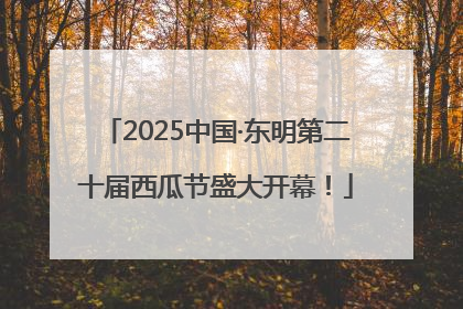 2025中国·东明第二十届西瓜节盛大开幕！