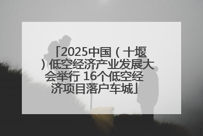 2025中国（十堰）低空经济产业发展大会举行 16个低空经济项目落户车城