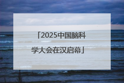 2025中国脑科学大会在汉启幕