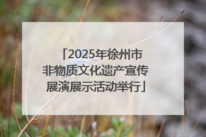 2025年徐州市非物质文化遗产宣传展演展示活动举行