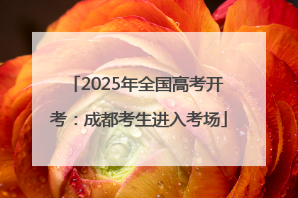 2025年全国高考开考：成都考生进入考场