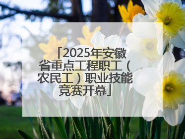 2025年安徽省重点工程职工（农民工）职业技能竞赛开幕