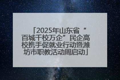 2025年山东省“百城千校万企”民企高校携手促就业行动暨潍坊市职教活动周启动