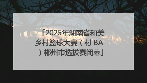 2025年湖南省和美乡村篮球大赛（村 BA）郴州市选拔赛闭幕