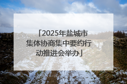 2025年盐城市集体协商集中要约行动推进会举办