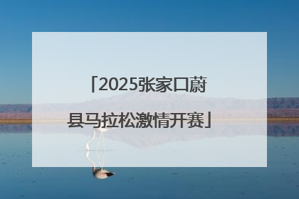 2025张家口蔚县马拉松激情开赛