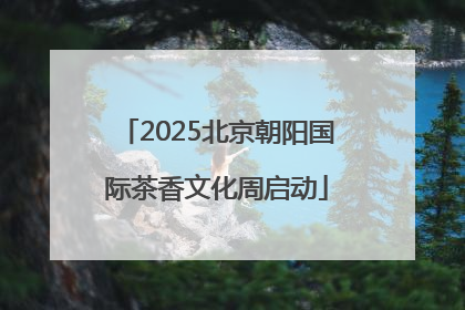 2025北京朝阳国际茶香文化周启动