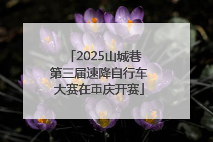 2025山城巷第三届速降自行车大赛在重庆开赛