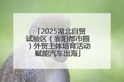 2025湖北自贸试验区（襄阳都市圈）外贸主体培育活动赋能汽车出海