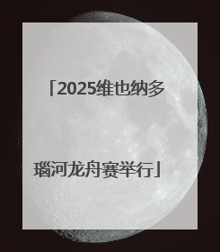 2025维也纳多瑙河龙舟赛举行