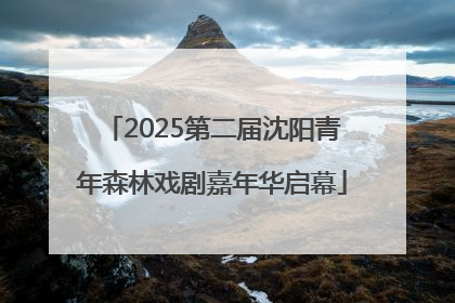 2025第二届沈阳青年森林戏剧嘉年华启幕