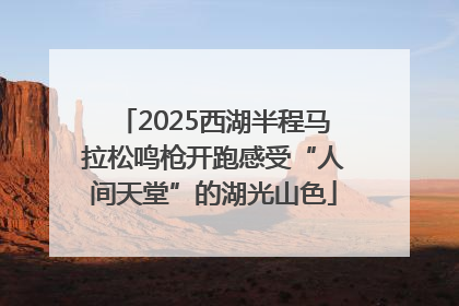 2025西湖半程马拉松鸣枪开跑感受“人间天堂”的湖光山色
