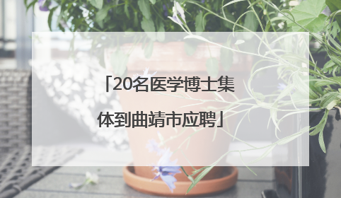 20名医学博士集体到曲靖市应聘
