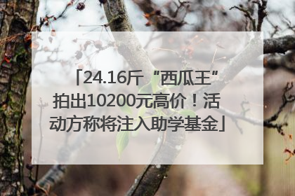 24.16斤“西瓜王”拍出10200元高价！活动方称将注入助学基金