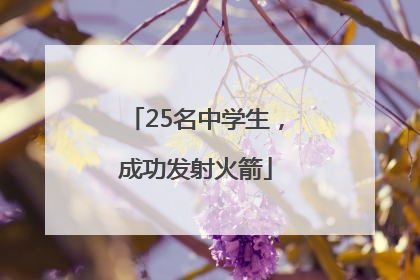 25名中学生，成功发射火箭