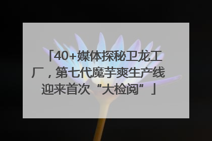 40+媒体探秘卫龙工厂，第七代魔芋爽生产线迎来首次“大检阅”