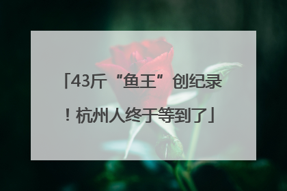 43斤“鱼王”创纪录！杭州人终于等到了