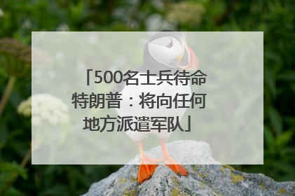 500名士兵待命 特朗普：将向任何地方派遣军队