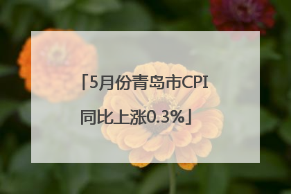 5月份青岛市CPI同比上涨0.3%