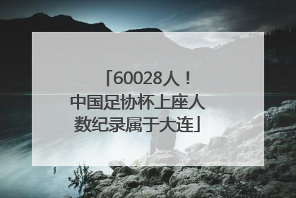 60028人！中国足协杯上座人数纪录属于大连