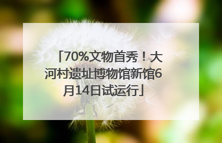 70%文物首秀！大河村遗址博物馆新馆6月14日试运行