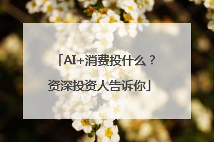 AI+消费投什么？资深投资人告诉你