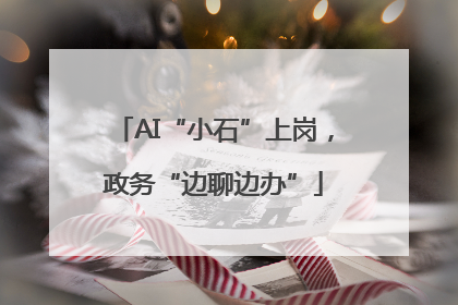 AI“小石”上岗，政务“边聊边办”