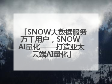 SNOW大数据服务万千用户，SNOW AI量化——打造亚太云端AI量化