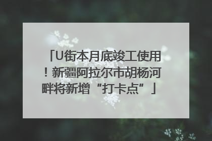 U街本月底竣工使用！新疆阿拉尔市胡杨河畔将新增“打卡点”