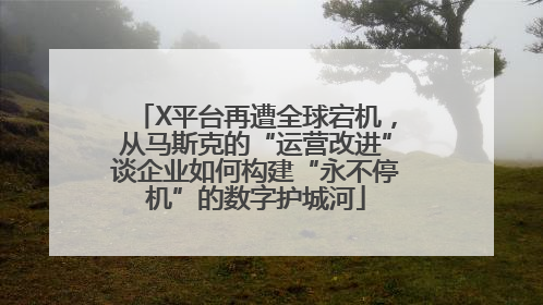 X平台再遭全球宕机，从马斯克的“运营改进”谈企业如何构建“永不停机”的数字护城河